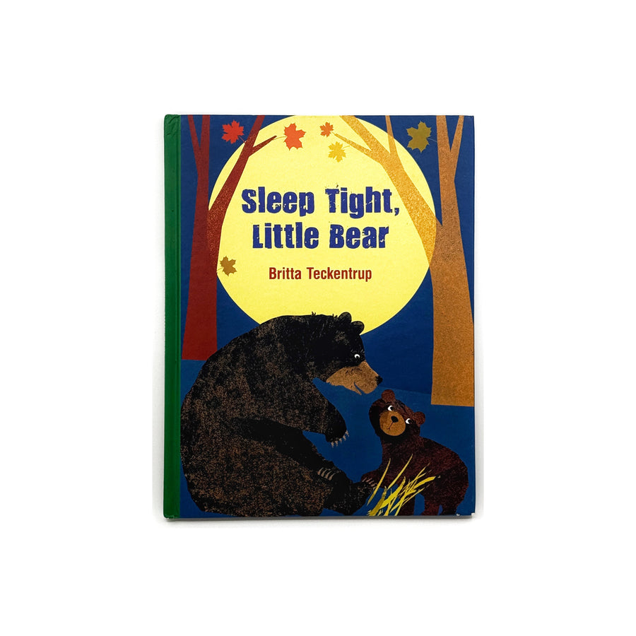 Sleep Tight Little Bear by Britta Teckentrup