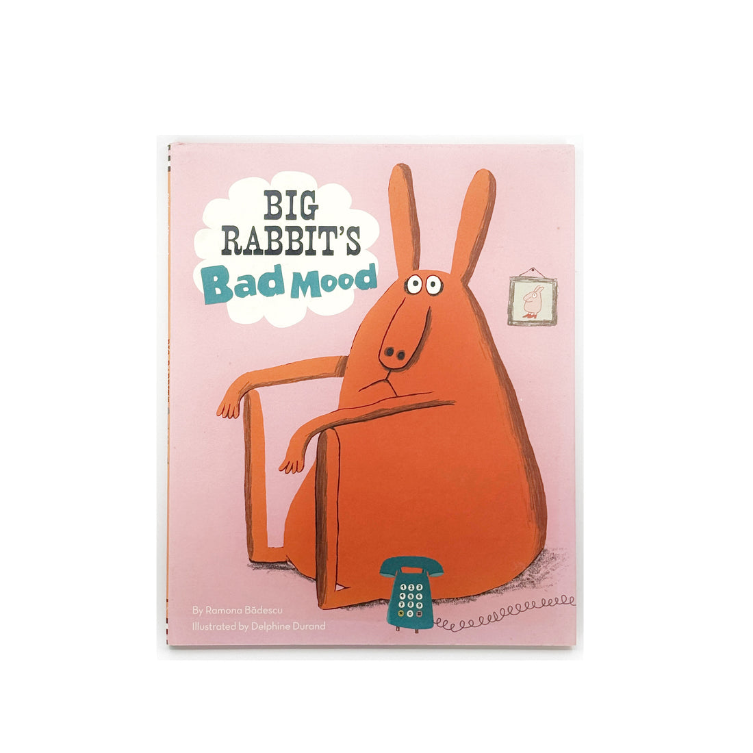 Big Rabbit's Bad Mood by Ramona Badescu