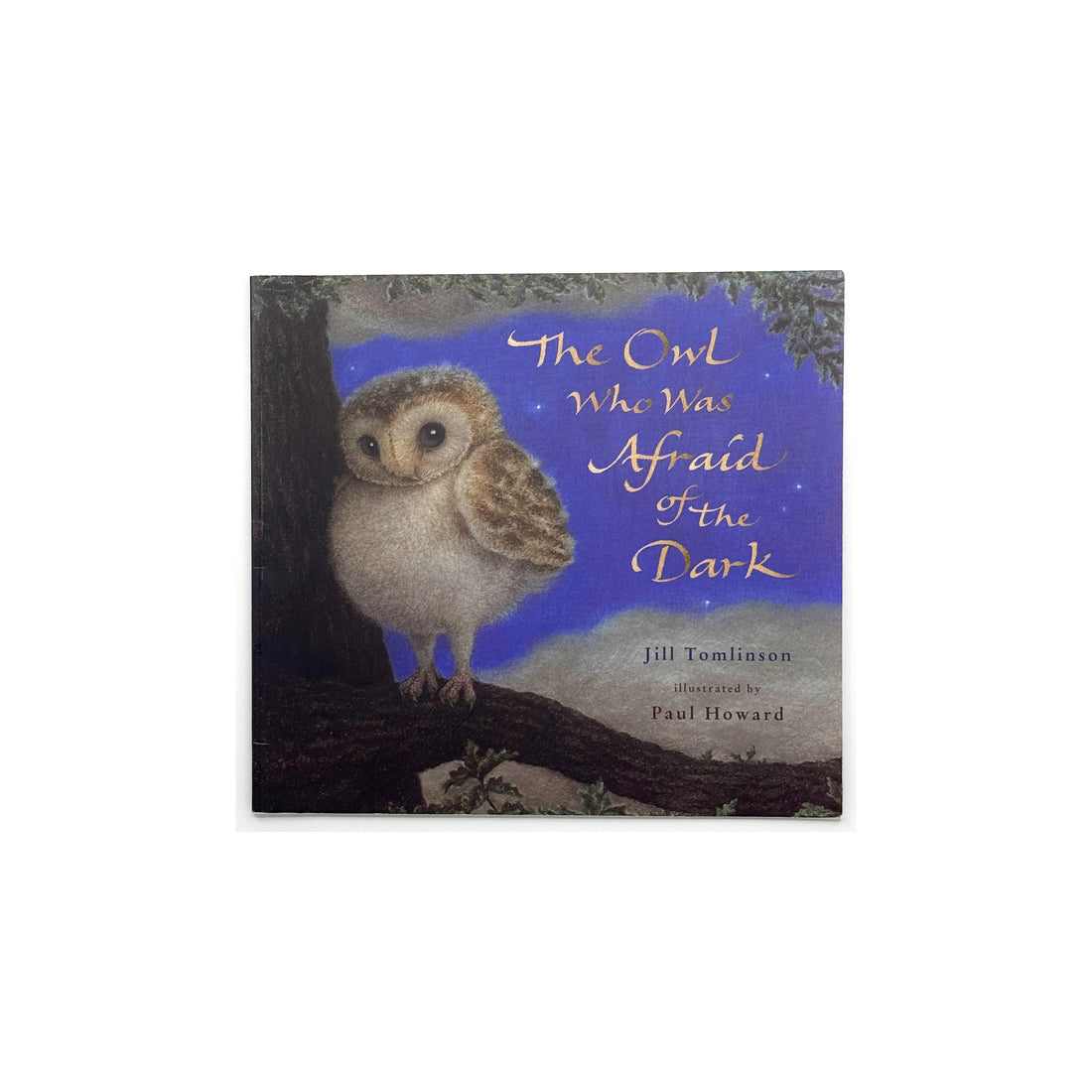 The Owl Who Was Afraid of the Dark by Jill Tomlinson